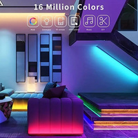 Twinklight Décoratif Led 24V 3535 RVB Flexible DIY Couleur Smart RVB LED Néon Corde Bande lumineuse