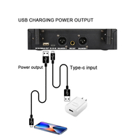 Harga Terjangkau Penerima Logam Dinamis 200-Saluran Echo UHF Mikrofon Nirkabel Lampu LED Jangkauan 40-80m Set Mikrofon Ganda untuk Karaoke