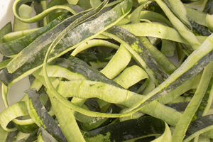 เครื่องปอกเปลือกฟักทองแตงโมแตงโมแตงโม - Product Image 3