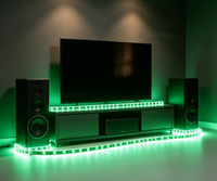 Module LED RGB HL-L1008, haut-parleur audio, amplificateur de puissance, carte lumineuse, module LED personnalisé OEM ODM