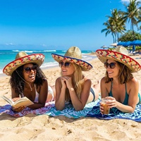 Nouvel Arrivage Chapeau de Paille Sombrero Mexicain Coloré Tressé à Large Bord, Chapeau de Soleil, Accessoire Photo pour Fête et Célébration de Fiesta Mexicaine