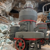 Usine de production de poudre de carbonate de calcium de haute qualité, de fluorite, de mica, de dolomite et de pyrophyllite en Inde, utilisant un broyeur Raymond