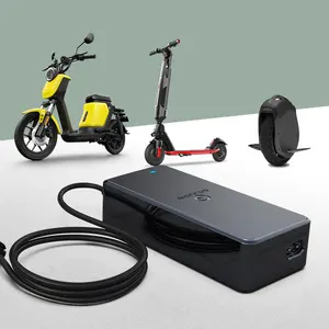 Lifepo4-cargador de batería para bicicleta eléctrica, pila de iones de litio personalizada de 12V, 24V, 36V, 72V, 84V y 48V