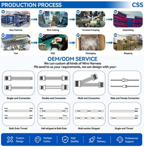 Vente en gros d'usine, connecteurs JST PH 2.0mm personnalisés à 2 broches, faisceaux de câbles électriques à fils torsadés - Product Image 5