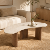 Table basse pour la maison, décoration de chambre et de salon, design antique moderne unique, table à thé et à café
