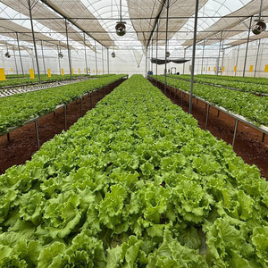 Upuper CP T25 25x25mm hạt giống khởi động Cây Giống cắm phát triển phương tiện truyền thông đá len khối thủy canh - Product Image 3