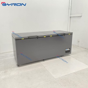 Congelador Horizontal de Doble Puerta con Aislamiento de Espuma, Gran Capacidad, Comercial y Doméstico, Directo de Fábrica - Product Image 5