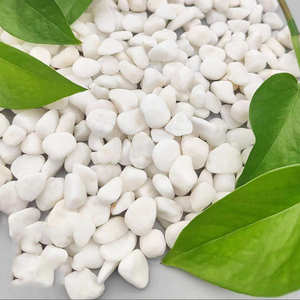 Galets blancs polis, certifiés ISO9001, audités BSCI, disponibles en différentes tailles pour des aménagements de jardins professionnels personnalisés. - Product Image 1