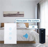 EWeLink norme américaine 118 WIFI interrupteur de rideau à rouleau interrupteur mural à commande vocale Alexa prise en charge IP65 Max 250V courant 10A