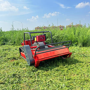 Remote Controlled Lawn Mower Cutting Width 800mm Low Noise Powerful <b>Robotic</b> <b>Mini</b> Lawn Mower - Product Image 2