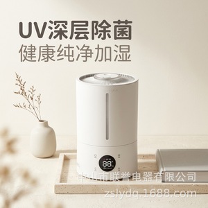 Desktop <b>Humidifier</b> 4L Top Filling High Mist Output Air Purification Home Use - Product Image 1