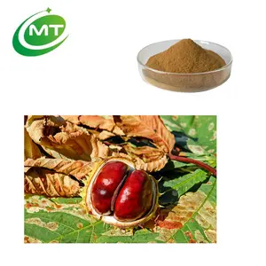 Organic Horse Chestnut Dry Extract Powder Aesculus hippocastanum fruit powder 20% escin Aescin