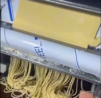 Machine électrique de fabrication de nouilles fraîches pour la maison ou le commerce Rouleau de pâte à pâte