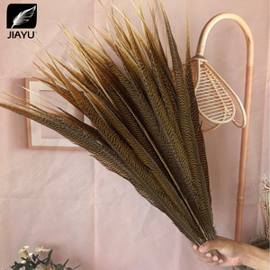 Piume di coda di fagiano anello (Ringneck) naturali all'ingrosso, lunghezza 10-80 cm (4-32 pollici), per decorazioni fai da te - Product Image 1