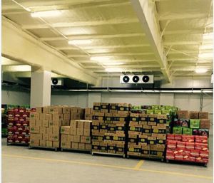 Système de refroidissement de chambre froide à air Copeland à commande automatique, alimenté par énergie solaire, pour la conservation des fruits et légumes, stable et durable - Product Image 2