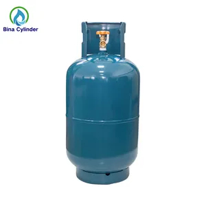 410แก๊ส Suppliers-Bina High Quality 15kg Domestic Lpg Gas Cylinder For Home Cooking