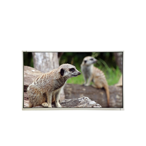 M215HTN01.3 CELL จอ LCD ของแท้ใหม่ ขนาด 21.5 นิ้ว ความละเอียด 1920*1080 FHD - Product Image 1