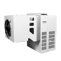 Compresor Rotatorio Emerson de 3 Toneladas R404a, Unidad Condensadora Monobloque con Inversor Solar DC, Monitoreo Remoto para Cámaras Frigoríficas (110V-440V)
