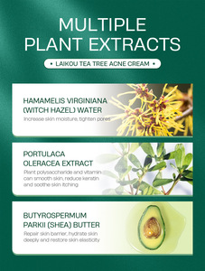 <span class=keywords><strong>Crema</strong></span> Antiacné de Árbol de Té 20g Producto para el Cuidado de la Piel <span class=keywords><strong>Hidratante</strong></span> y Humectante Extracto de Plantas Nutritivo para el Cuidado <span class=keywords><strong>Facial</strong></span> - Product Image 3