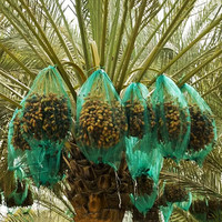 Premium Fruitboom Bescherm Mono Mesh Net Groene Dadelzak Palm Dadelzak Voor Dadels Vruchtbedekking