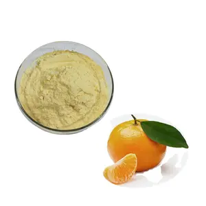 Pure Dried Organic Orange Juice Concentrate Powder