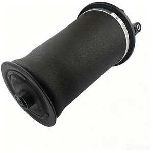 ถุงลมสปริงกันสะเทือนรถยนต์ด้านหลังขวา/ซ้าย RKB101460 เหมาะสำหรับแลนด์โรเวอร์ เรนจ์โรเวอร์ P38A 1994-2002 - Product Image 6