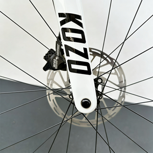 Vélo de Course sur Route Léger en Fibre de Carbone T800 pour Adultes, Vente en Gros Directe Usine, avec Freins à Disque Hydrauliques WHL9110-limi - Product Image 5