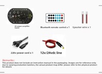 Solution PCBA d'amplificateur audio double microphone 12V 24V 220V pour subwoofer de voiture et système de haut-parleurs extérieur, directement de l'usine