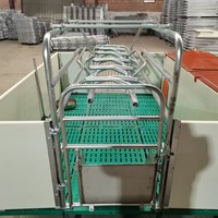Cage de mise bas double face pour truies avec niche de nurserie pour porcelets - Parc de mise bas galvanisé à chaud pour élevage porcin
