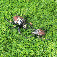 Figurines d'insectes en PVC solide, modèle de simulation, mantisse, coccinelle, insectes, figurines d'animaux, jouets, vente en gros