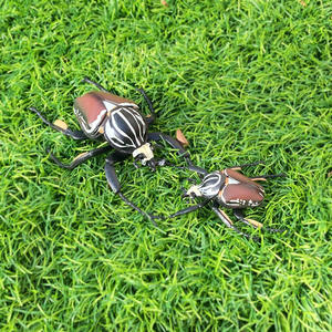 Figurines d'insectes en PVC solide, modèle de simulation, mantisse, coccinelle, insectes, figurines d'animaux, jouets, vente en gros - Product Image 3