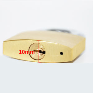 Cadenas en laiton à manille en acier personnalisé Dragon Domain Premium Security 30mm, 50mm, 70mm - Product Image 5