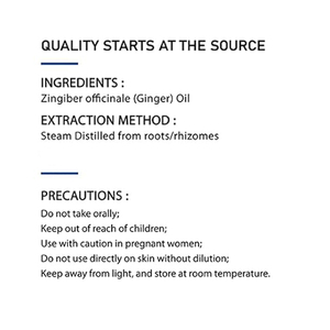 OEM Private Label Manufacturer Low Price Pure Ginger Extract <strong>Oil</strong> Massage <strong>Oil</strong> 100% Natural Ginger Essential Extract - Product Image 2