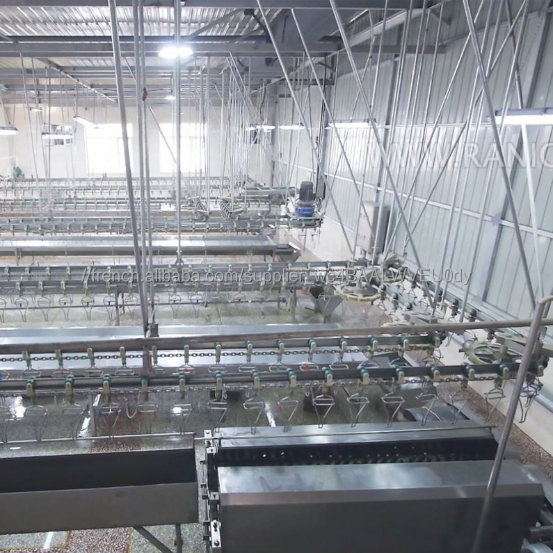 Professionnel Automatique Poulet Plumeuse Machine D'abattage