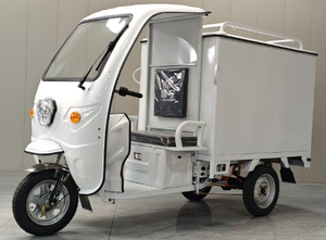 Véhicules à 3 roues <span class=keywords><strong>Tricycle</strong></span> électrique <span class=keywords><strong>tout</strong></span>-<span class=keywords><strong>terrain</strong></span> pour <span class=keywords><strong>adulte</strong></span> <span class=keywords><strong>Tricycle</strong></span> express <span class=keywords><strong>Tricycle</strong></span> 1,5 m d'espace de chargement - Product Image 5