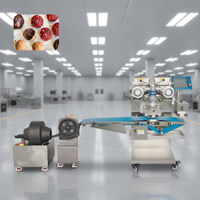 Machine automatique domestique en acier inoxydable pour l'enrobage et le façonnage de boules de dattes, de Bliss Balls et de biscuits, haute productivité, écoénergétique