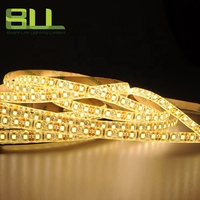 SMD2835 120LED IP65 DC12 Volt 3000K blanco cálido solo color inteligente Flex Led Strip Light