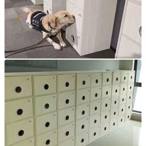 Equipo de Detección 3D Simulado para Entrenamiento Canino, para Rastrear Drogas, Explosivos y Manchas de Sangre, Diseño Moderno y Duradero - Product Image 1