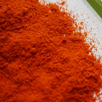 Bestseller-Pulver Beste Qualität Chilipulver für Kimchi