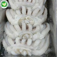 IQF fruits de mer congelés exportation congelé bébé pieuvre Chine SD 10kg pieuvre électronique pieuvre peluche comestible 10kg emballage en vrac ormeau