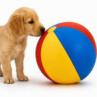 Ballon d'équilibre durable et imperméable 1680D/2520D pour chiens de compagnie, capacité 20 kg+, avec pompe à air, tailles 45/55/65/75 cm, flexible et léger