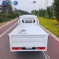 Camionnette électrique à bas prix avec transmission intégrale, batterie grande capacité, pour transport domestique et benne agricole