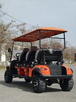 Voiturette de golf électrique 6 places, chariot de chasse certifié CE, 30 km/h, autonomie 70-90 km