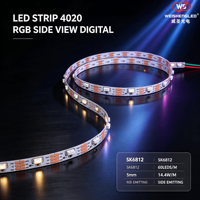 Bande LED numérique RVB SK6812 4020 à vision latérale 100 LED/m 5V, bande LED adressable, fabricant (Aucun avis pour le moment)