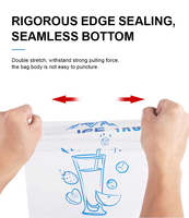 Sacs en plastique transparents jetables personnalisés avec logo du fabricant, 2 kg, 5 kg, 10 kg, pour glaçons, emballage scellable, impression par gravure, congélateur