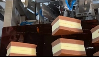 Wanlisonic Machine à snacks Machine à ensacher semi-automatique pour gâteau et pain en triangle pour équipement de boulangerie