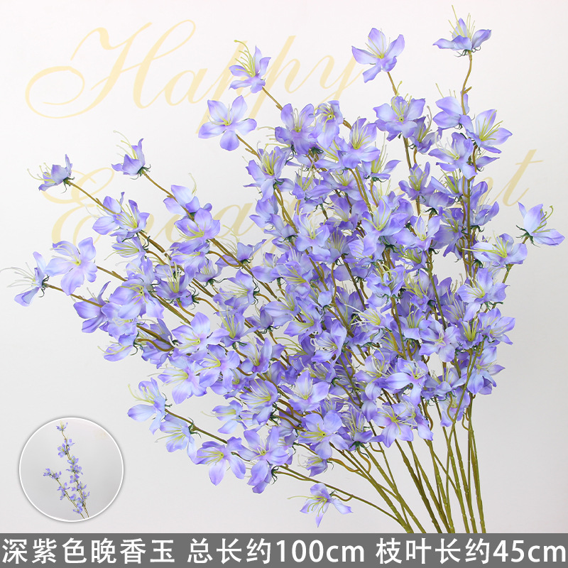Tige de tubéreuse violet foncé