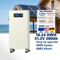 200Ah 10.24KWh IP65 Baterai Penyimpanan Energi LiFePO4 51.2V CAN yang Dipasang di Lantai untuk Sistem Surya Rumah Hybrid Grid dengan Garansi 10 Tahun 8000