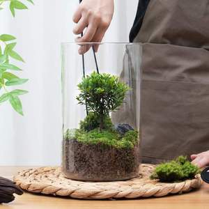 Terrarium en verre <span class=keywords><strong>de</strong></span> bureau avec lumière <span class=keywords><strong>de</strong></span> croissance pour plantes succulentes, <span class=keywords><strong>mousse</strong></span>, paysage miniature, <span class=keywords><strong>aquarium</strong></span> pour poissons Betta - Product Image 4