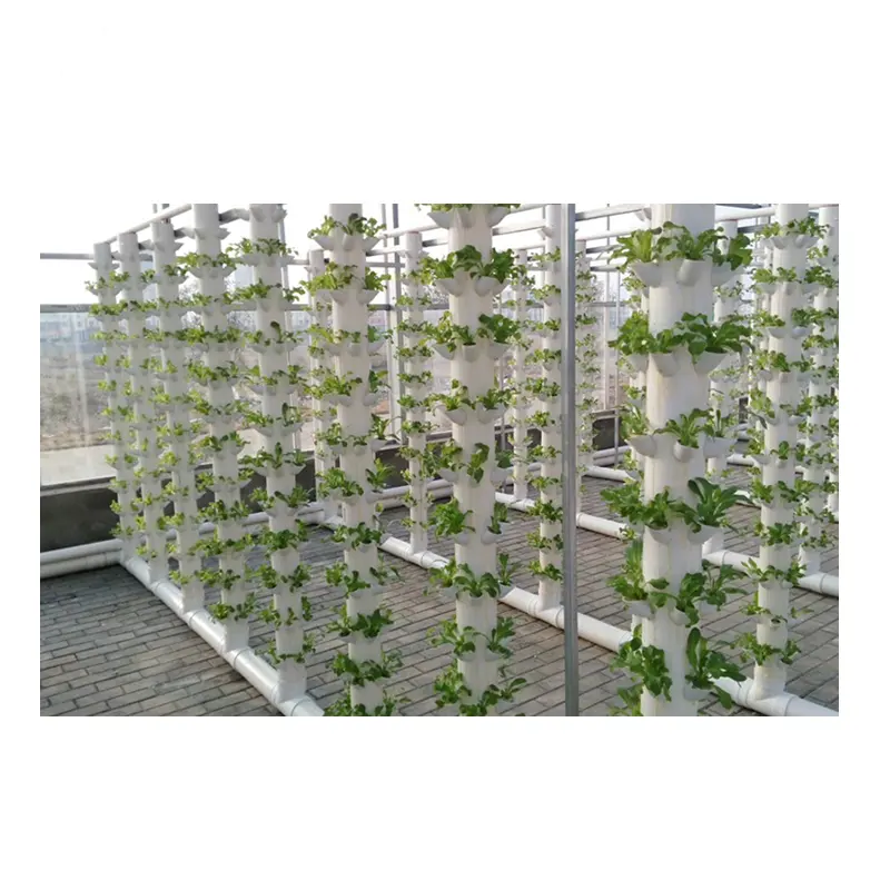 Attrezzatura agricola verticale del sistema di coltivazione idroponica del tetto dell'azienda agricola urbana